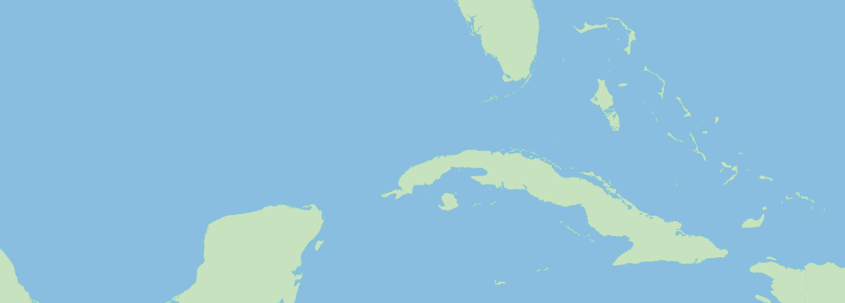 Overview